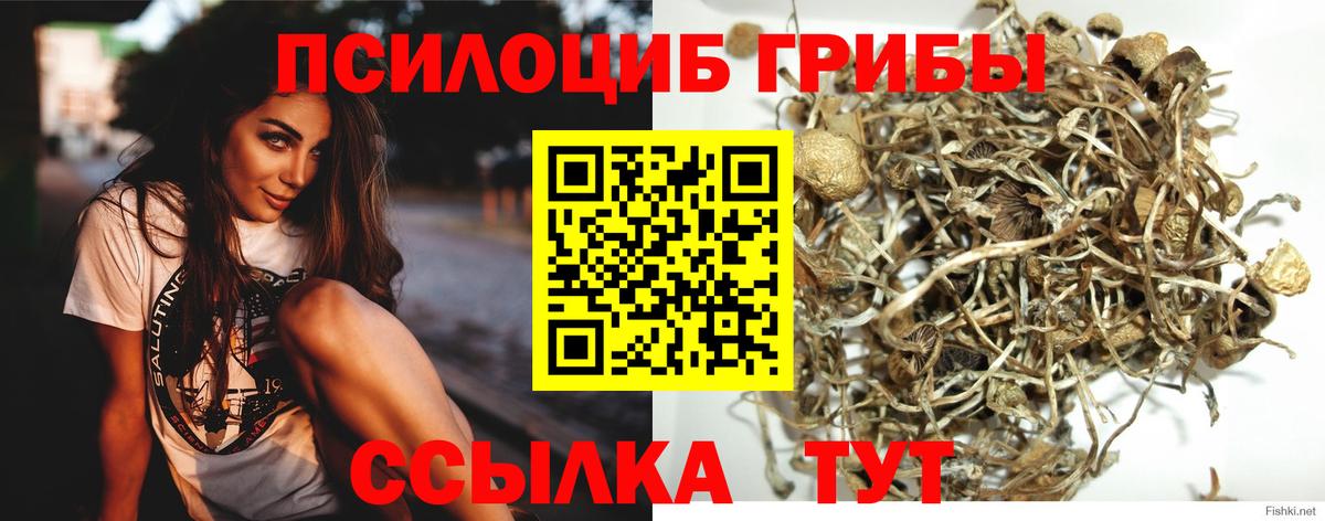 Кохма  Галлюциногенные грибы прущие грибы  Вход с VPN 
